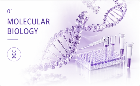 MOLECULAR BIOLOGY