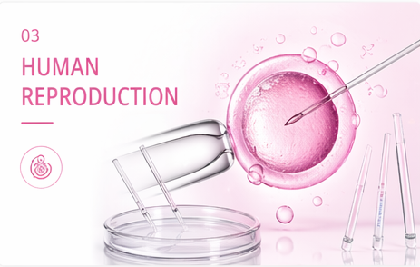 HUMAN REPRODUCTION